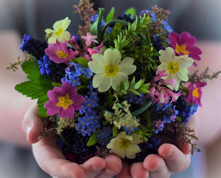 Mother’s Day — A Morning Made for Her