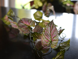 Wreaths and Garlands
