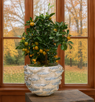 Sculptural Shoal of Fish Ceramic Vase – Three Sizes