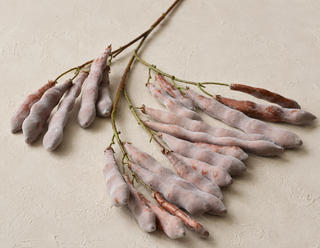 Faux Wisteria-Inspired Seed Pod Branch – 115cm