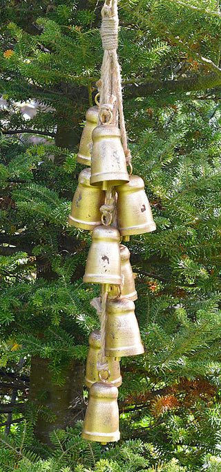 Golden Bells Cluster