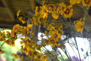 Faux Yellow Coreopsis Stems