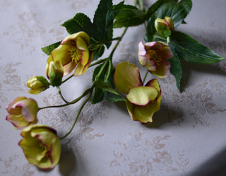 Faux Winter Hellebore – Green