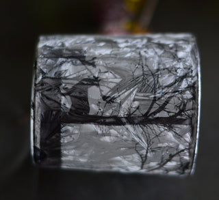 Animated Frosted Forest Scene