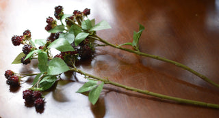 Set of 3 Short faux blackberry or 3  Short raspberry stems