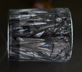 Animated Frosted Forest Scene