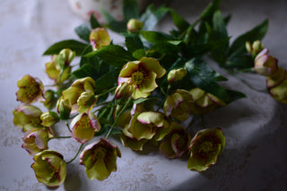 Faux Winter Hellebore – Green