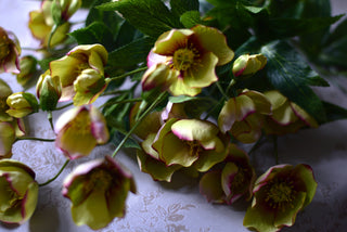 Faux Winter Hellebore – Green