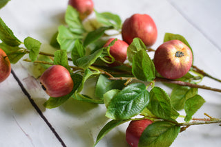 Faux Apple Branch