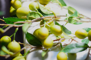 Artificial fruits branches: apples,oranges,lemons