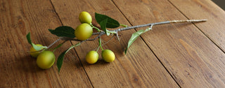 Artificial fruits branches: apples,oranges,lemons