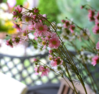 Elegant Faux Pink Cosmos Stems