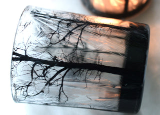 Animated Frosted Forest Scene