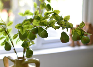 Faux Pear Branch