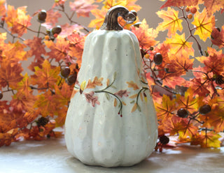 Nature’s Autumn Pumpkins