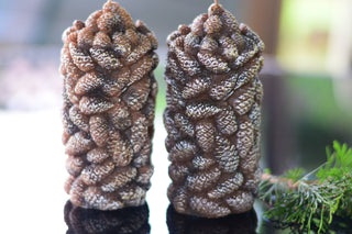 Pine cone candles