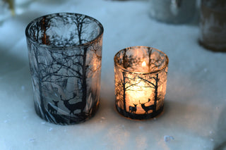 Animated Frosted Forest Scene