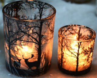 Animated Frosted Forest Scene