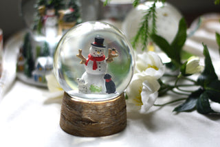 Snowman With Dog & Cat  snow globe