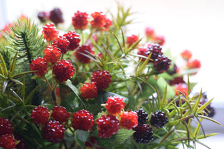 Set of 3 Short faux blackberry or 3  Short raspberry stems