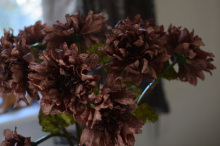 Vintage Dahlias