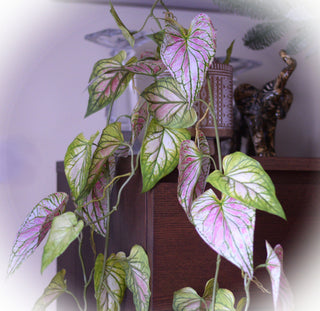 Lifelike Faux Caladium Stem