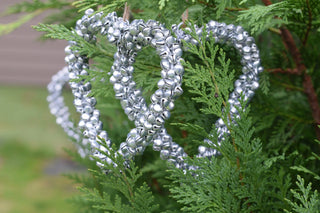 Jingle bell  little heart