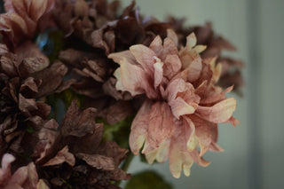 Vintage Dahlias