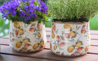 Mediterranean Citrus Ceramic Pots