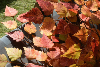 Faux autumn birch stems