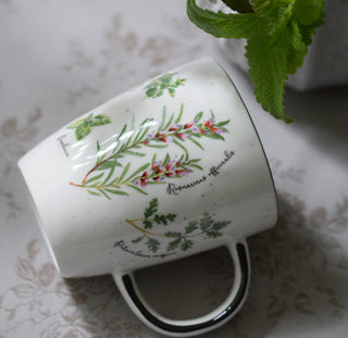 Botanical Herb Porcelain Mug with Gift Box