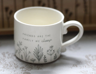 Friend are family mug