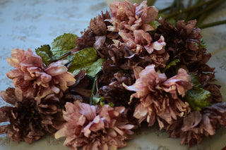 Vintage Dahlias