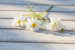 Faux Daisy Spray – 50 cm