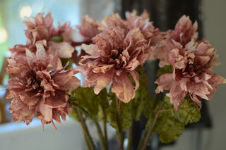 Vintage Dahlias