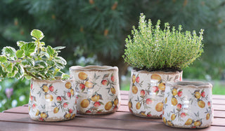 Mediterranean Citrus Ceramic Pots
