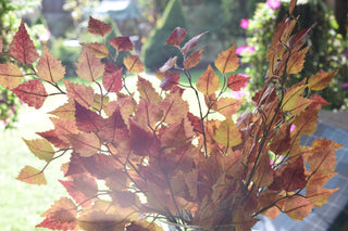 Faux autumn birch stems
