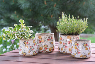 Mediterranean Citrus Ceramic Pots