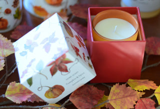 Pumpkin & Spice scented Candle