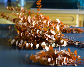 Preserved eucalyptus stems