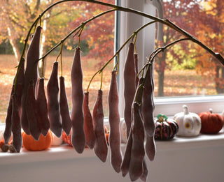 Faux Wisteria-Inspired Seed Pod Branch – 115cm