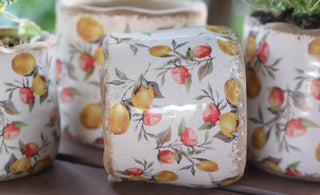 Mediterranean Citrus Ceramic Pots