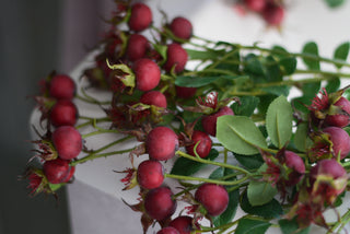 Faux rosehip spray in red color
