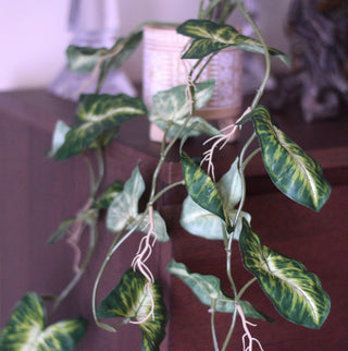 Trailing Faux Syngonium Stem