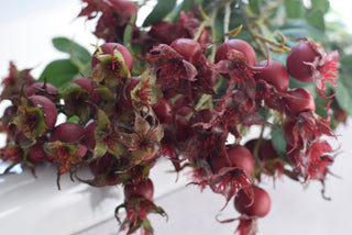Faux rosehip spray in red color