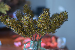 Seeded stem