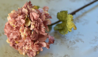 Vintage dried faux hydrangeas