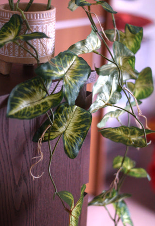 Trailing Faux Syngonium Stem