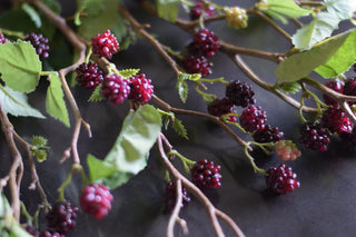 Extra-long-faux-blackberry-stems
