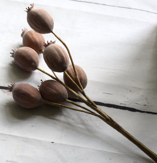 Faux Poppy Seed Pod Bundle – 7 Stems